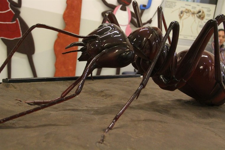 Bees Mystery at Beirut Souks